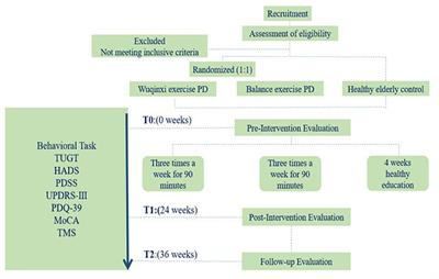 Long-Term Wu Qin Xi Exercise on Response Inhibition and Cortical Connectivity in Parkinson's Disease: Design and Implementation of a Randomized Controlled Clinical Trial